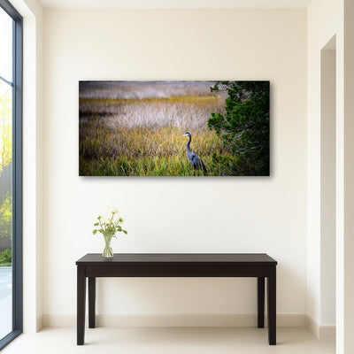 AUTO-MOCKUP ROOM | Heron Jekyll Island