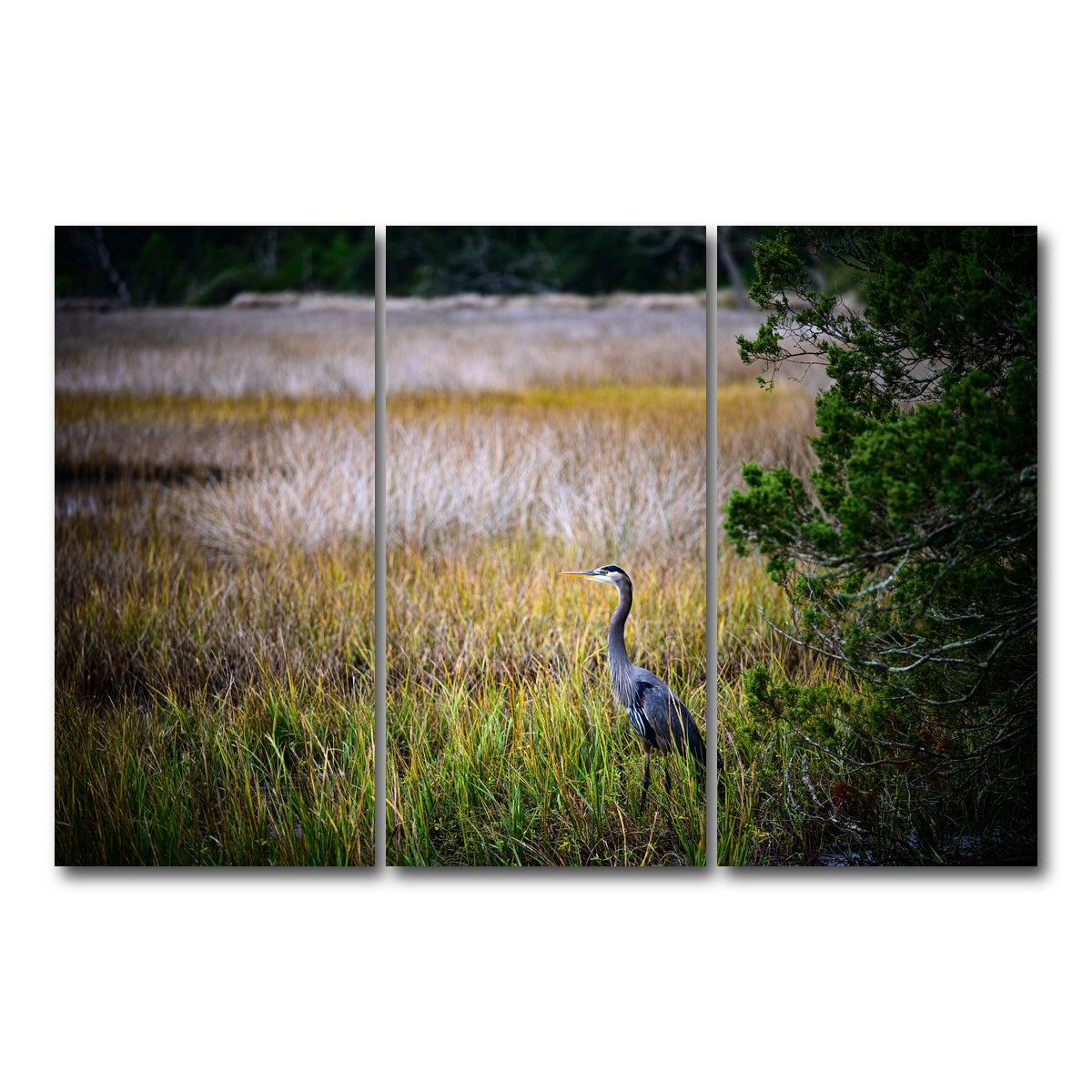 AUTO-MOCKUP WHITE | Heron Jekyll Island | 3 Piece | Gallery Wrap Canvas | group=12x24