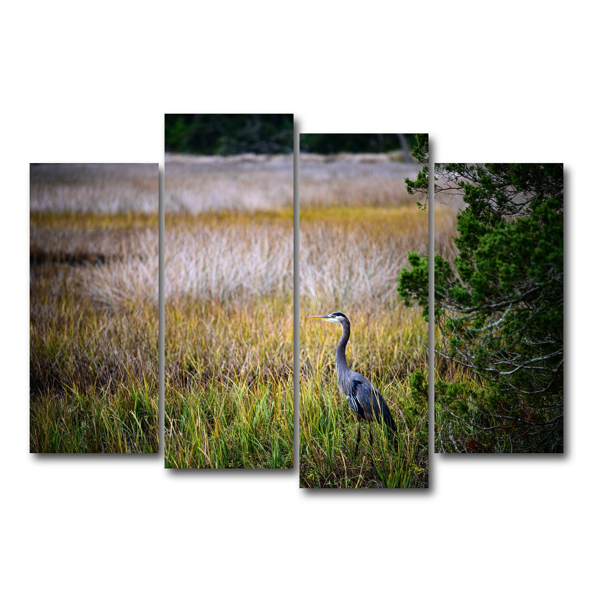 AUTO-MOCKUP WHITE | Heron Jekyll Island | 4 Piece | Gallery Wrap Canvas | group=4_normal