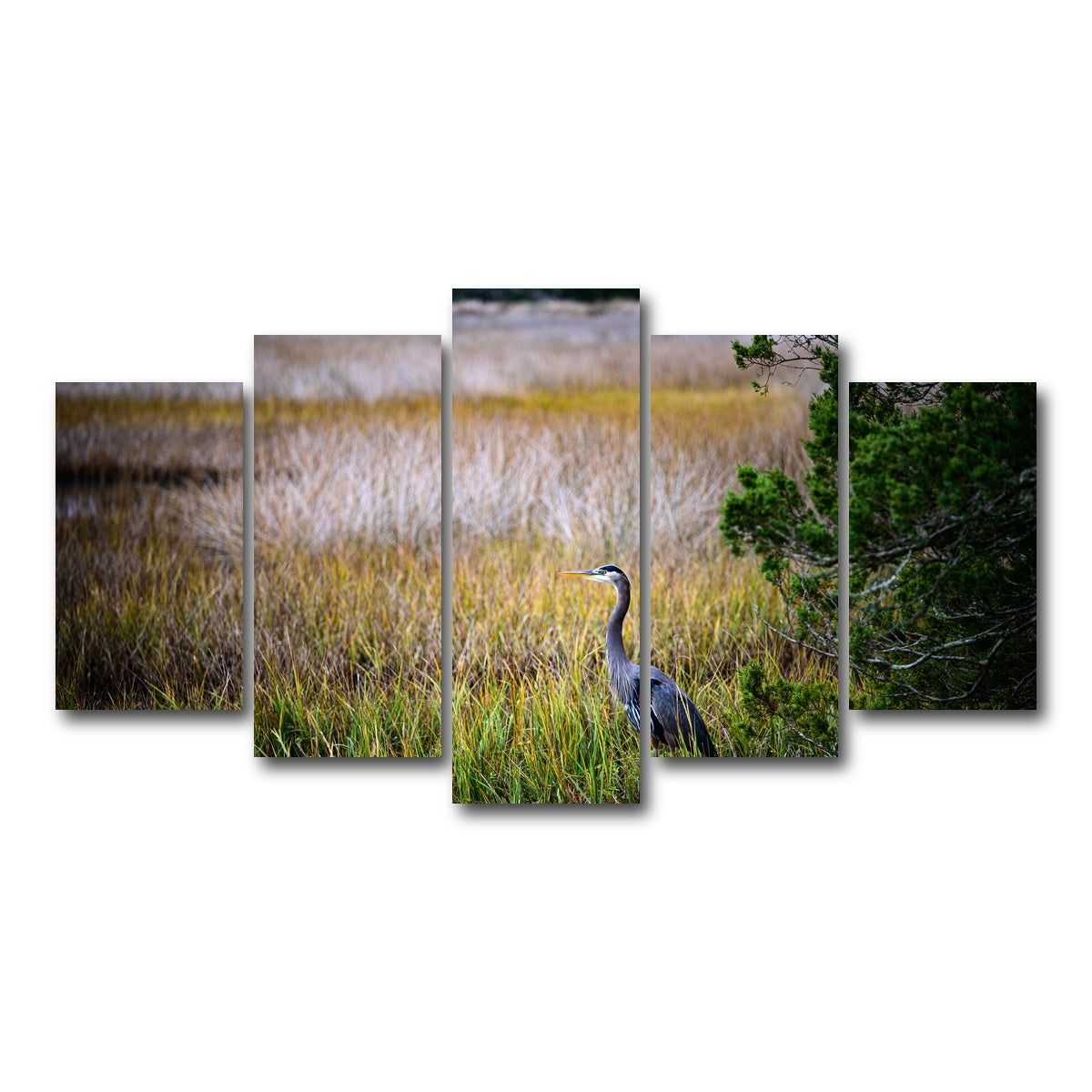 AUTO-MOCKUP WHITE | Heron Jekyll Island | 5 Piece | Gallery Wrap Canvas | group=5_normal