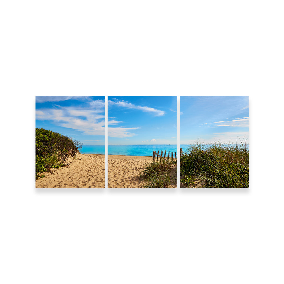 Herring Cove Beach Wall Art
