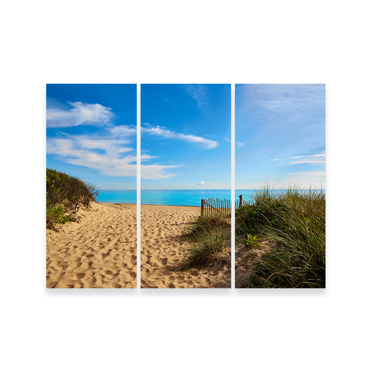 Herring Cove Beach Wall Art