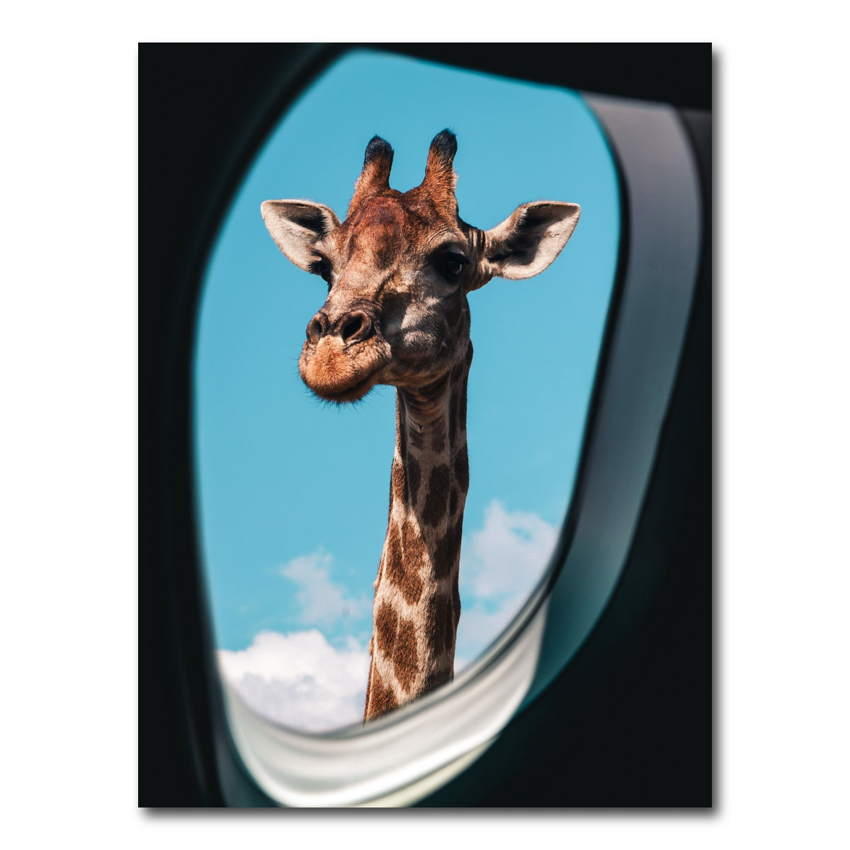 AUTO-MOCKUP WHITE | Hi There! | 1 Piece | Gallery Wrap Canvas | group=3x4