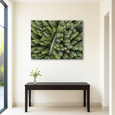 AUTO-MOCKUP ROOM | Hidden Road