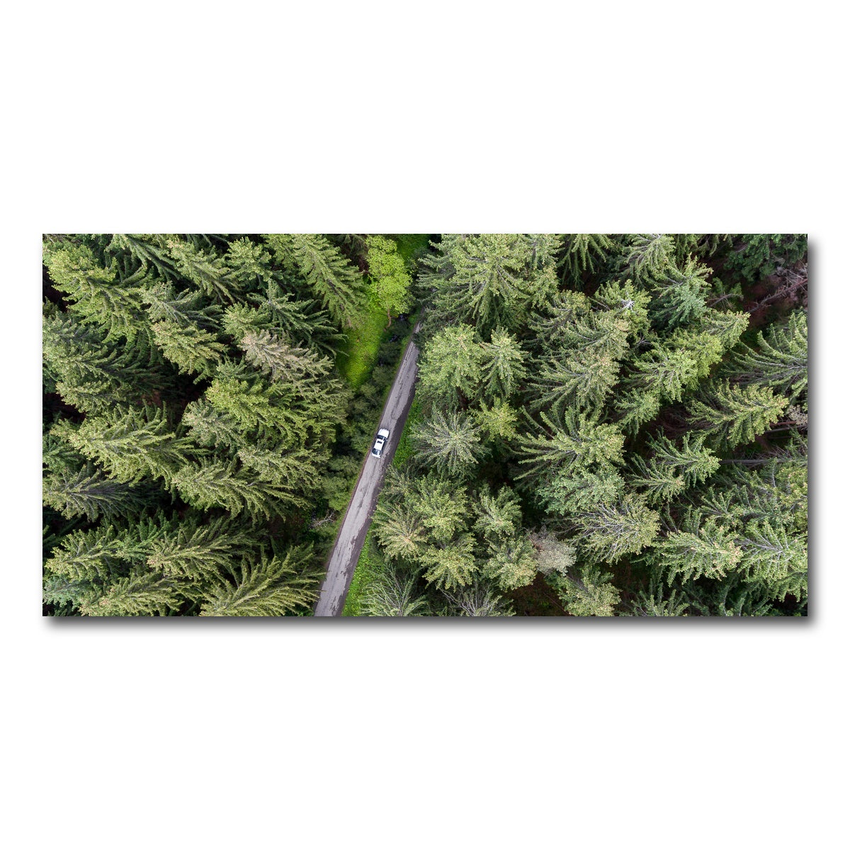 AUTO-MOCKUP WHITE | Hidden Road | 1 Piece | Gallery Wrap Canvas | group=2x1