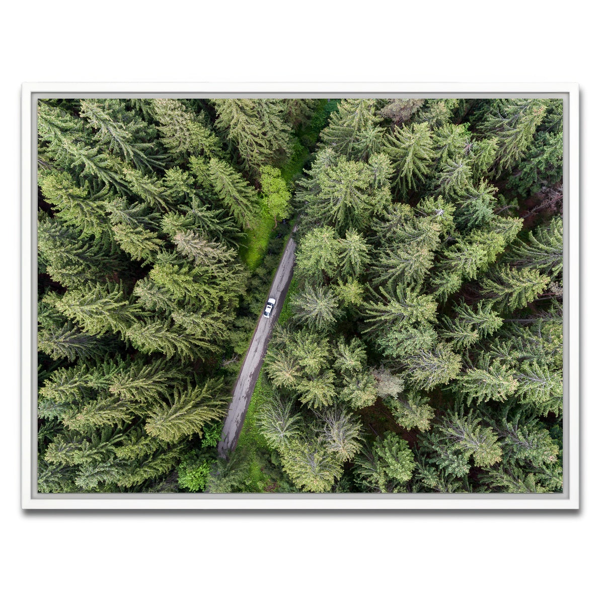 AUTO-MOCKUP WHITE | Hidden Road | 1 Piece | White Framed Canvas | group=4x3