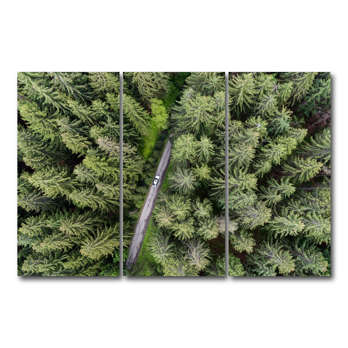 AUTO-MOCKUP WHITE | Hidden Road | 3 Piece | Gallery Wrap Canvas | group=12x24