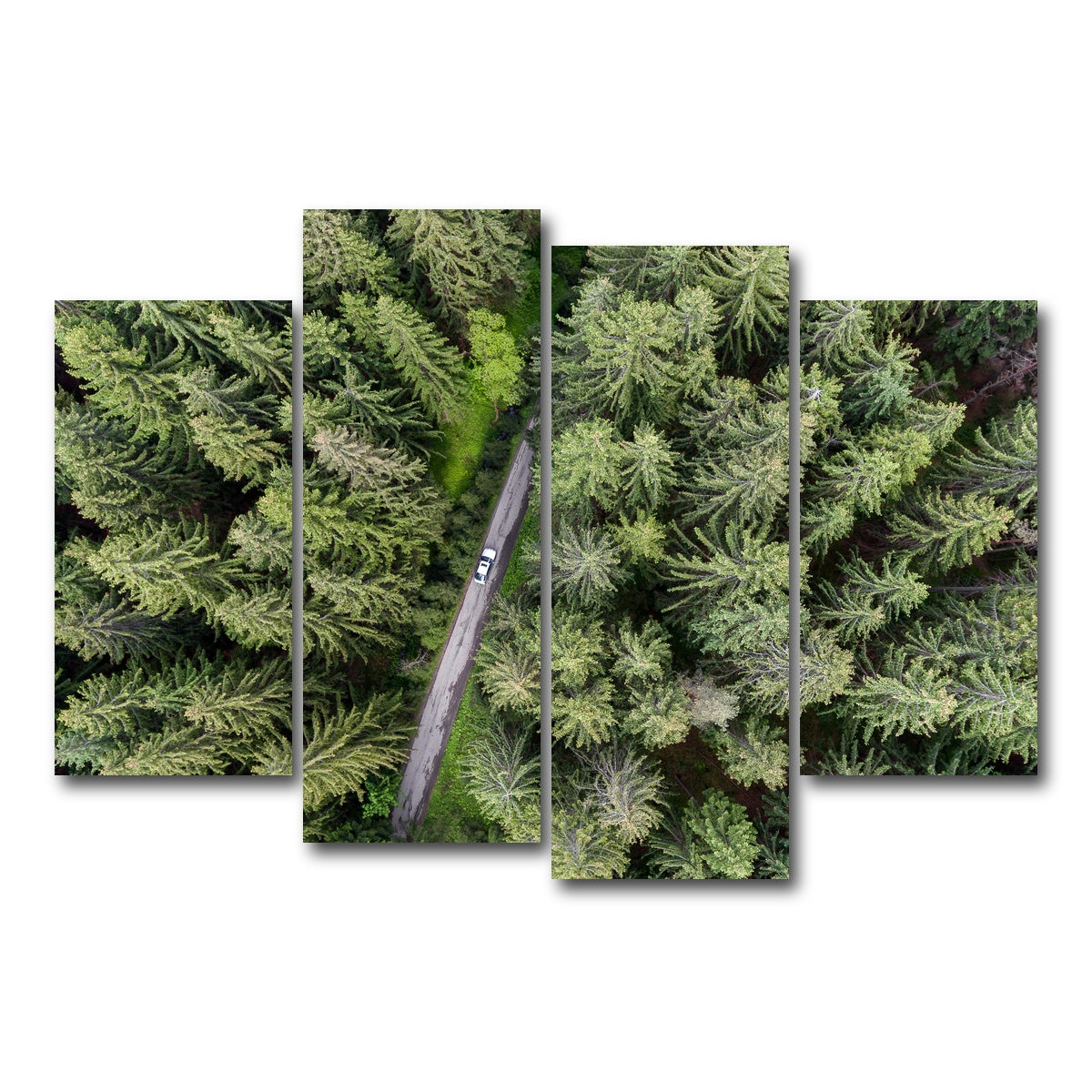 AUTO-MOCKUP WHITE | Hidden Road | 4 Piece | Gallery Wrap Canvas | group=4_short