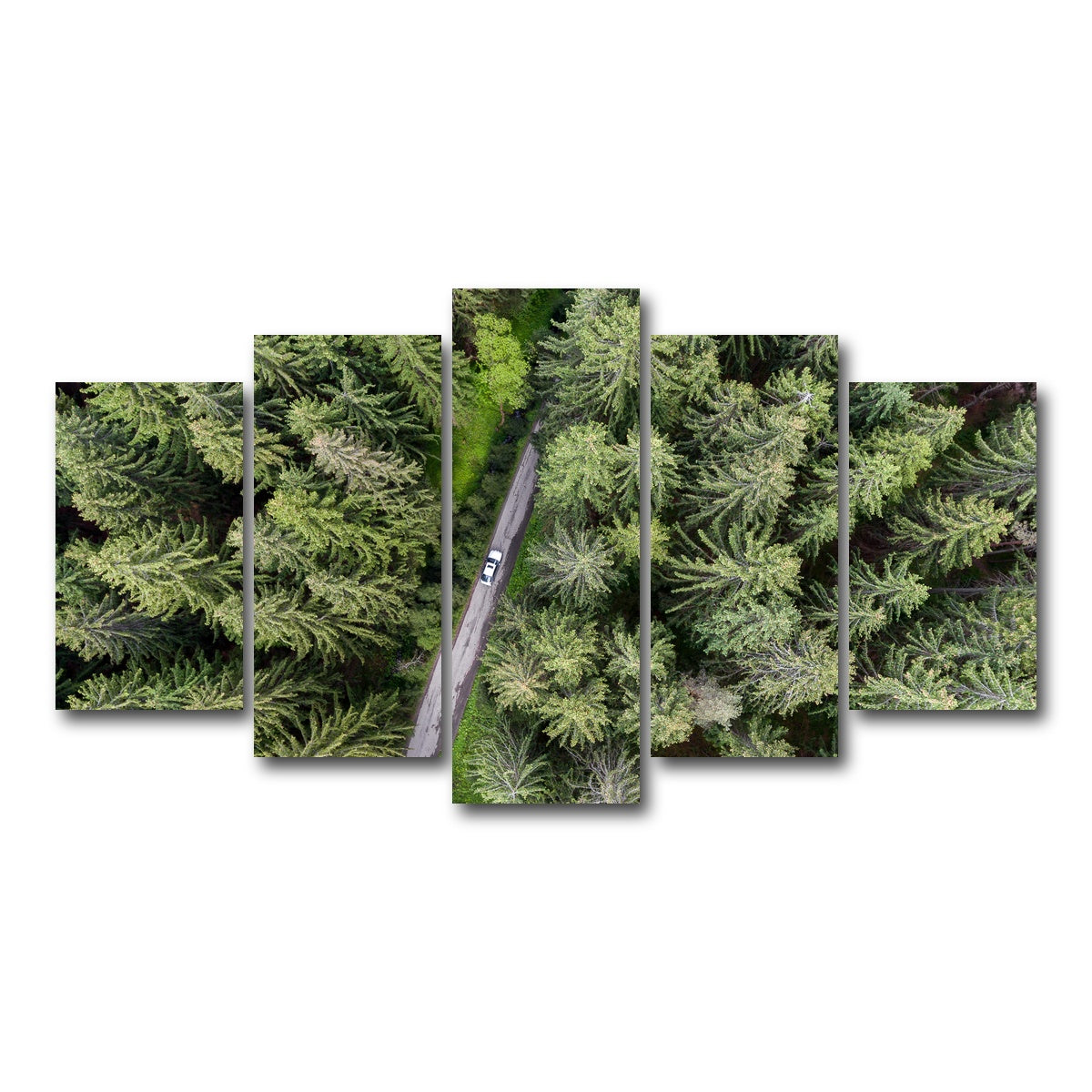 AUTO-MOCKUP WHITE | Hidden Road | 5 Piece | Gallery Wrap Canvas | group=5_normal