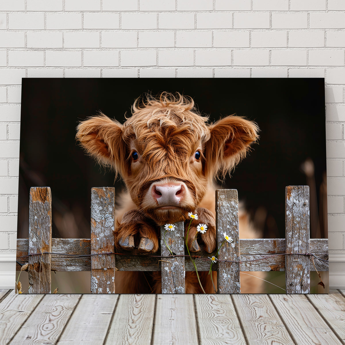 Highland Baby Calf Wall Art