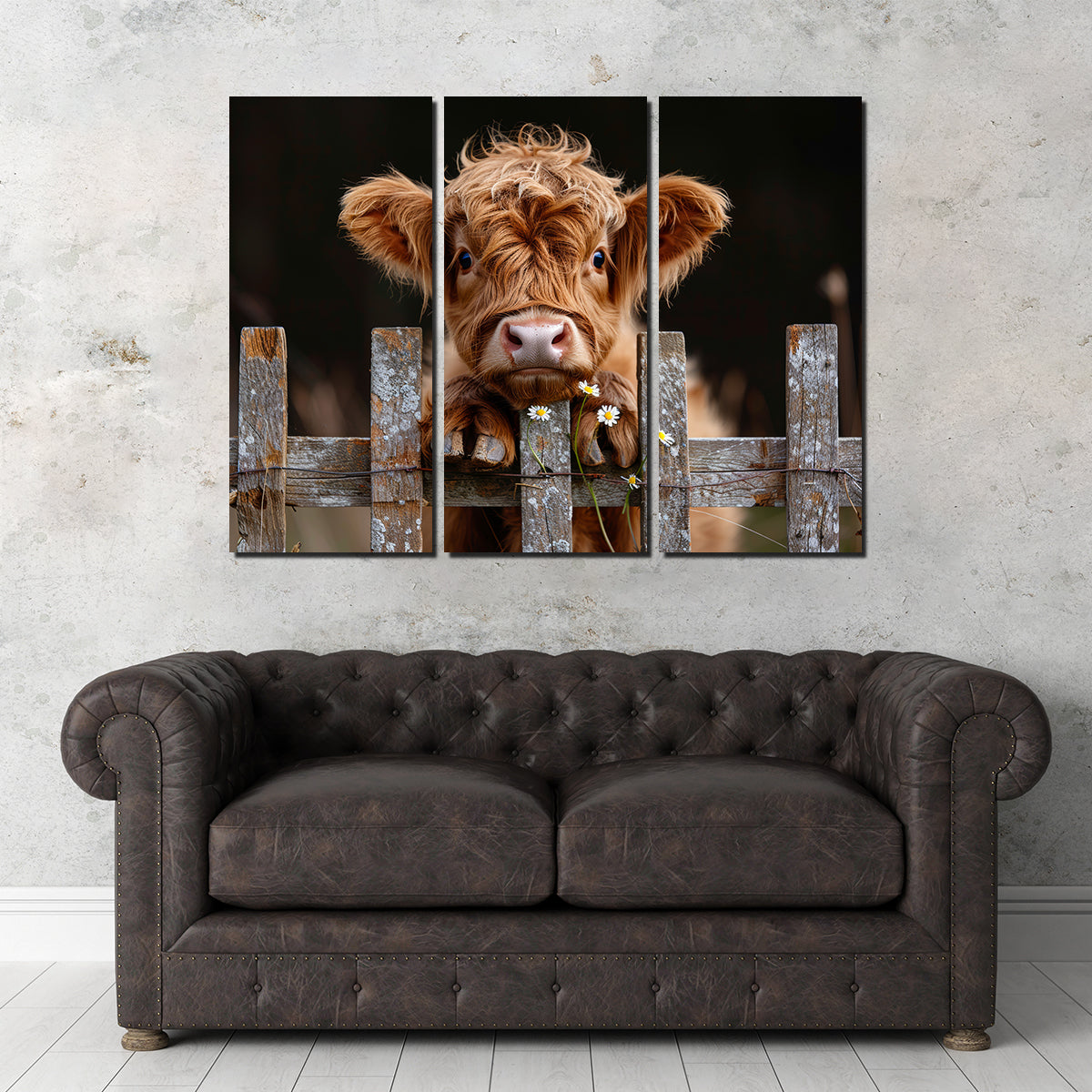 Highland Baby Calf Wall Art