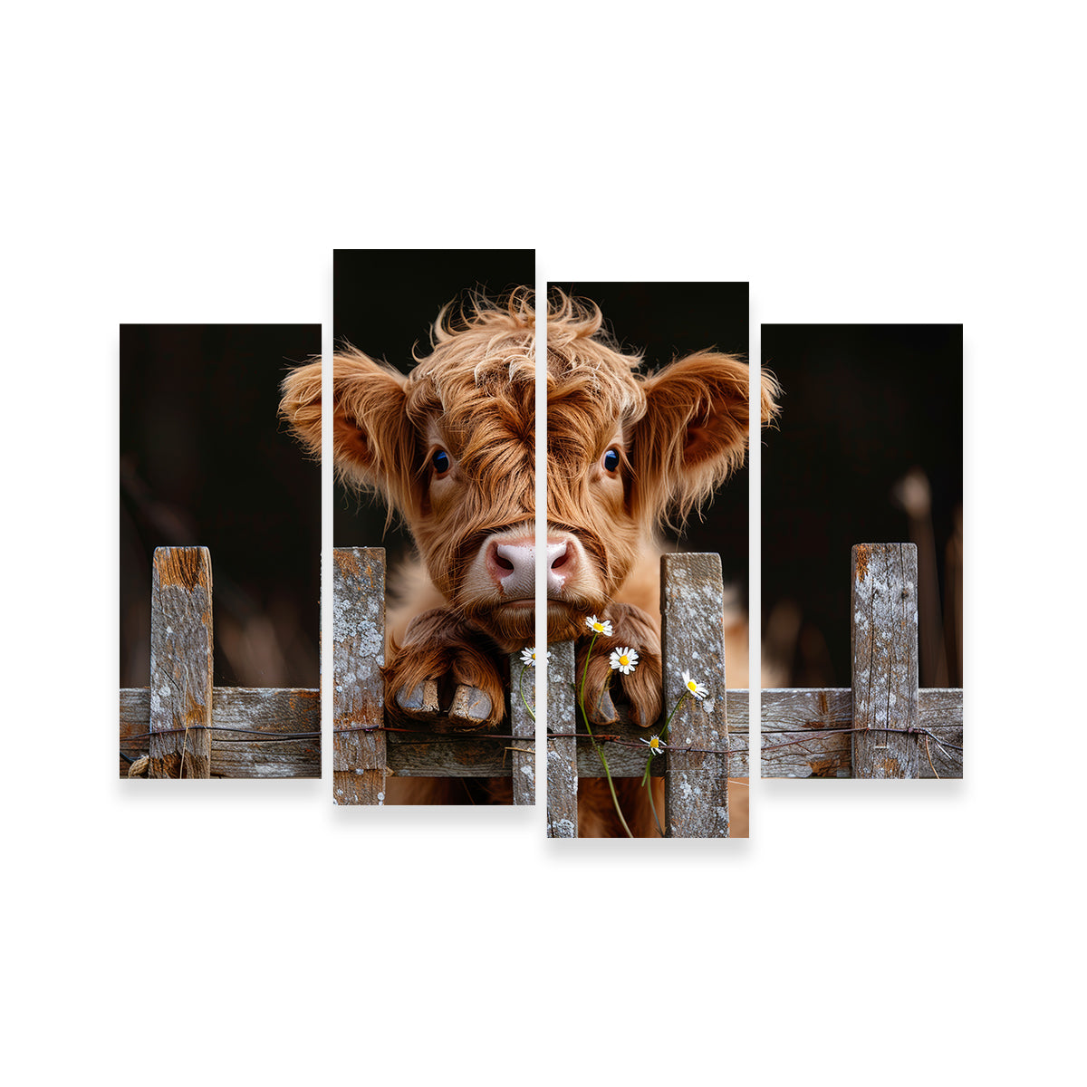 Highland Baby Calf Wall Art