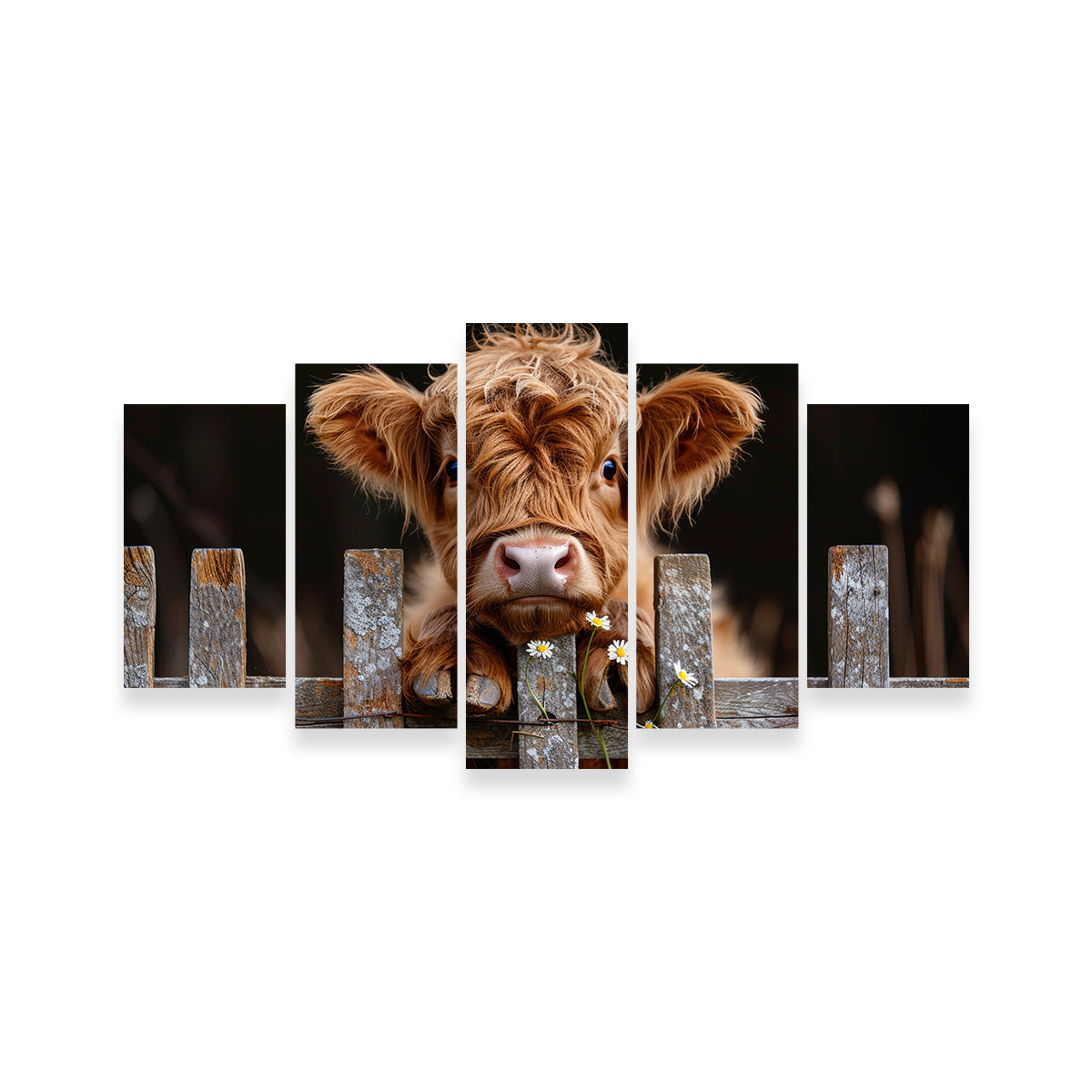 Highland Baby Calf Wall Art