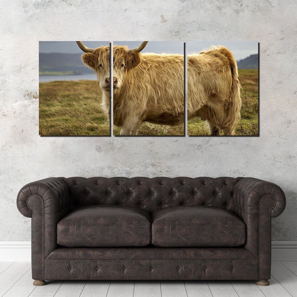 Highland Cow - Countryside Wall Art