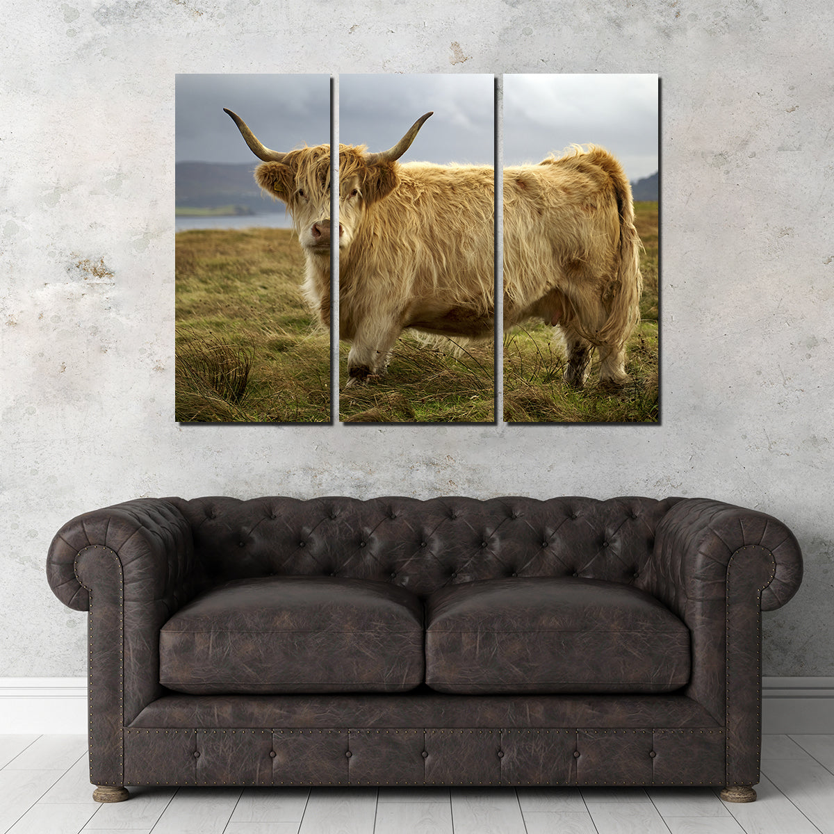 Highland Cow - Countryside Wall Art