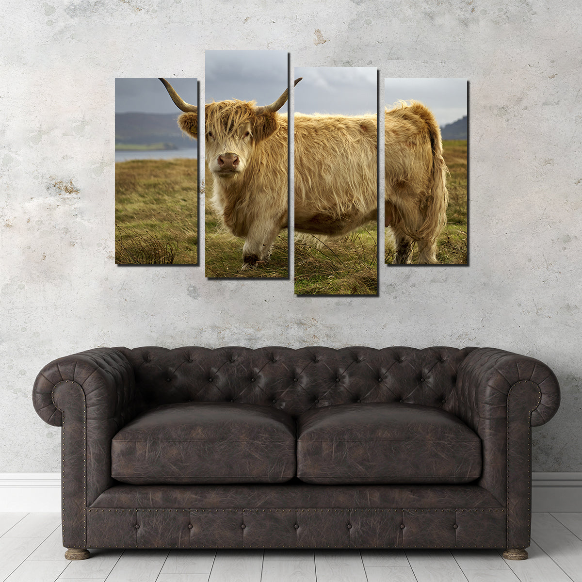 Highland Cow - Countryside Wall Art