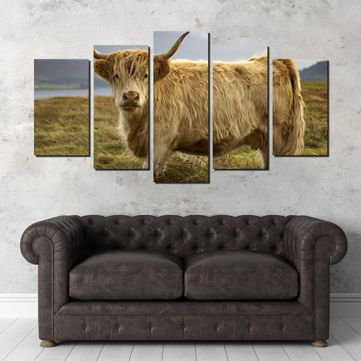 Highland Cow - Countryside Wall Art