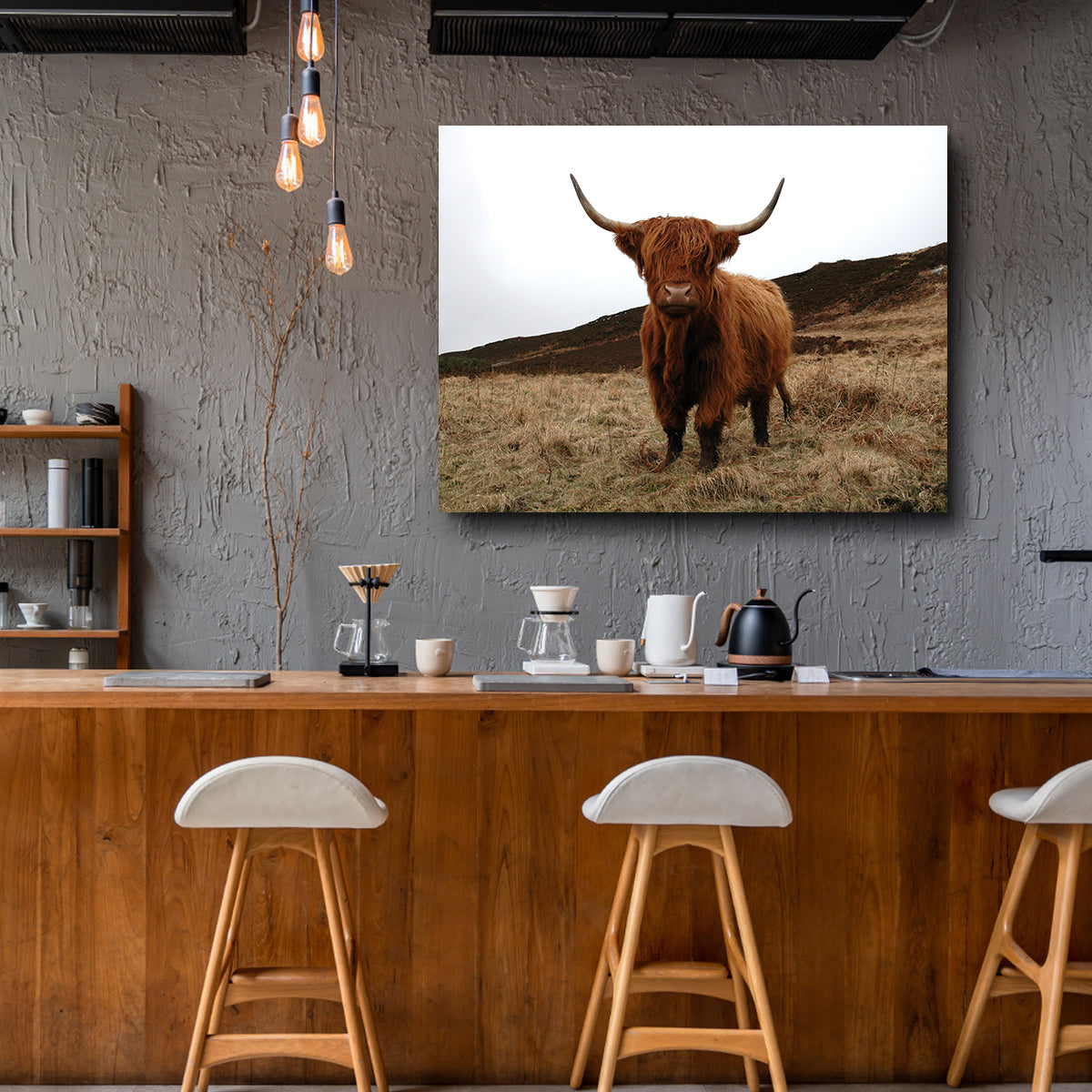 Highland Cow - Northern Scotland Wall Art