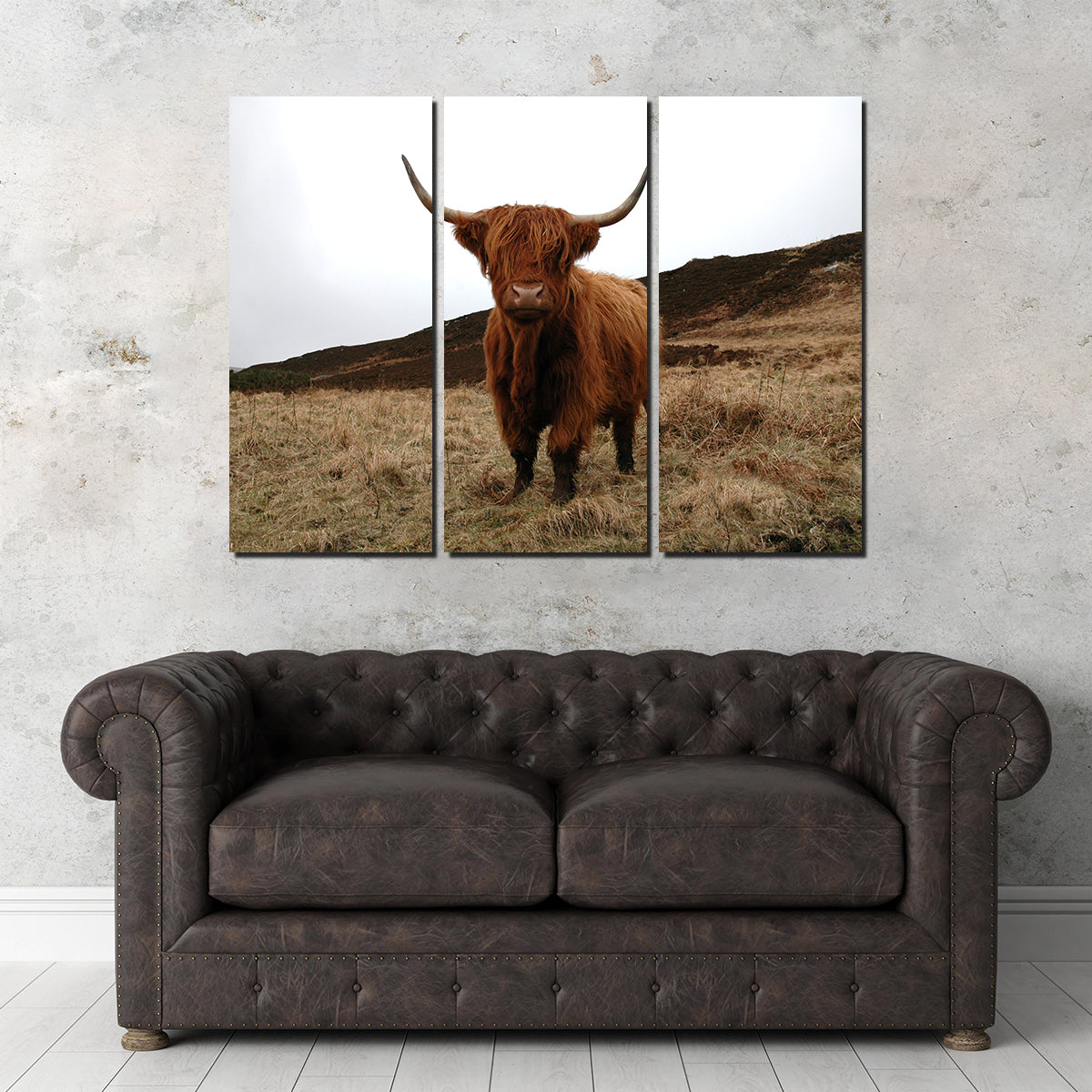 Highland Cow - Northern Scotland Wall Art