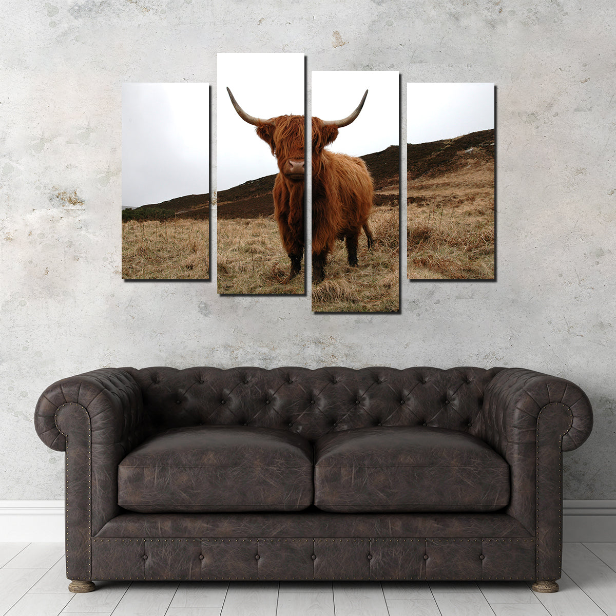 Highland Cow - Northern Scotland Wall Art