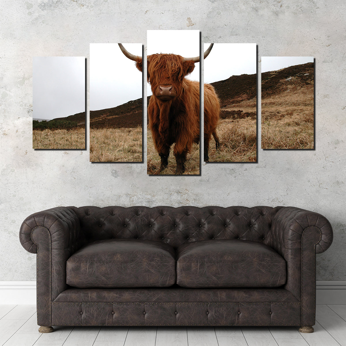 Highland Cow - Northern Scotland Wall Art