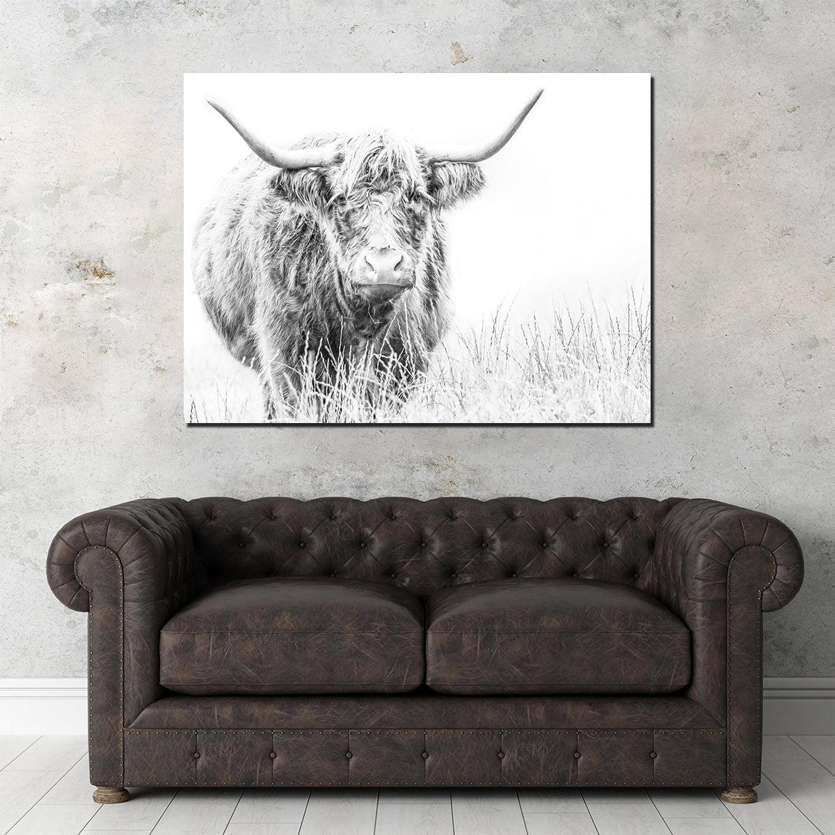 Highland Cow on White Wall Art