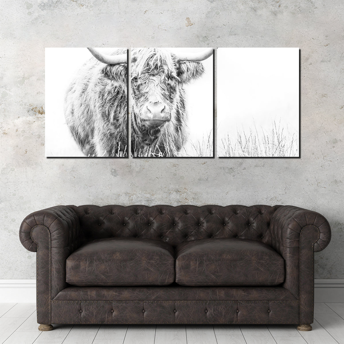 Highland Cow on White Wall Art