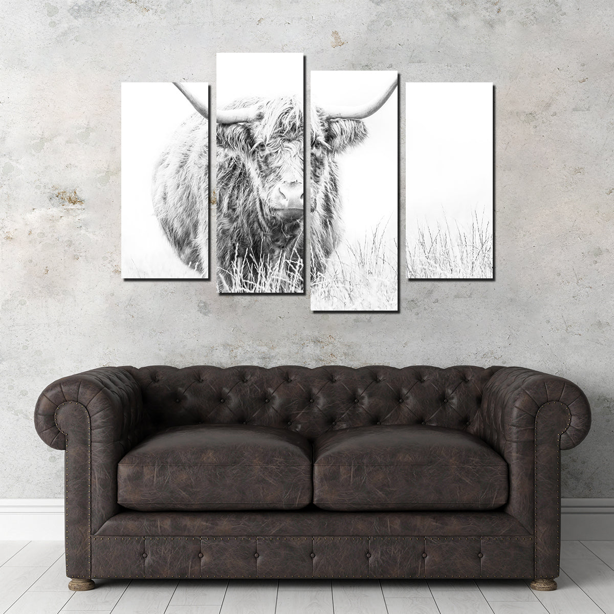 Highland Cow on White Wall Art