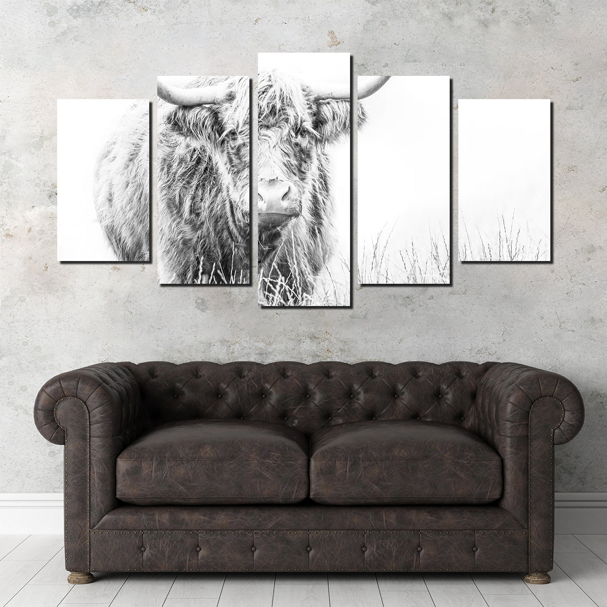 Highland Cow on White Wall Art