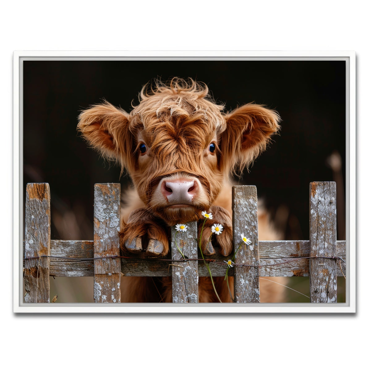 AUTO-MOCKUP WHITE | Highland Baby Calf | 1 Piece | White Framed Canvas | group=4x3