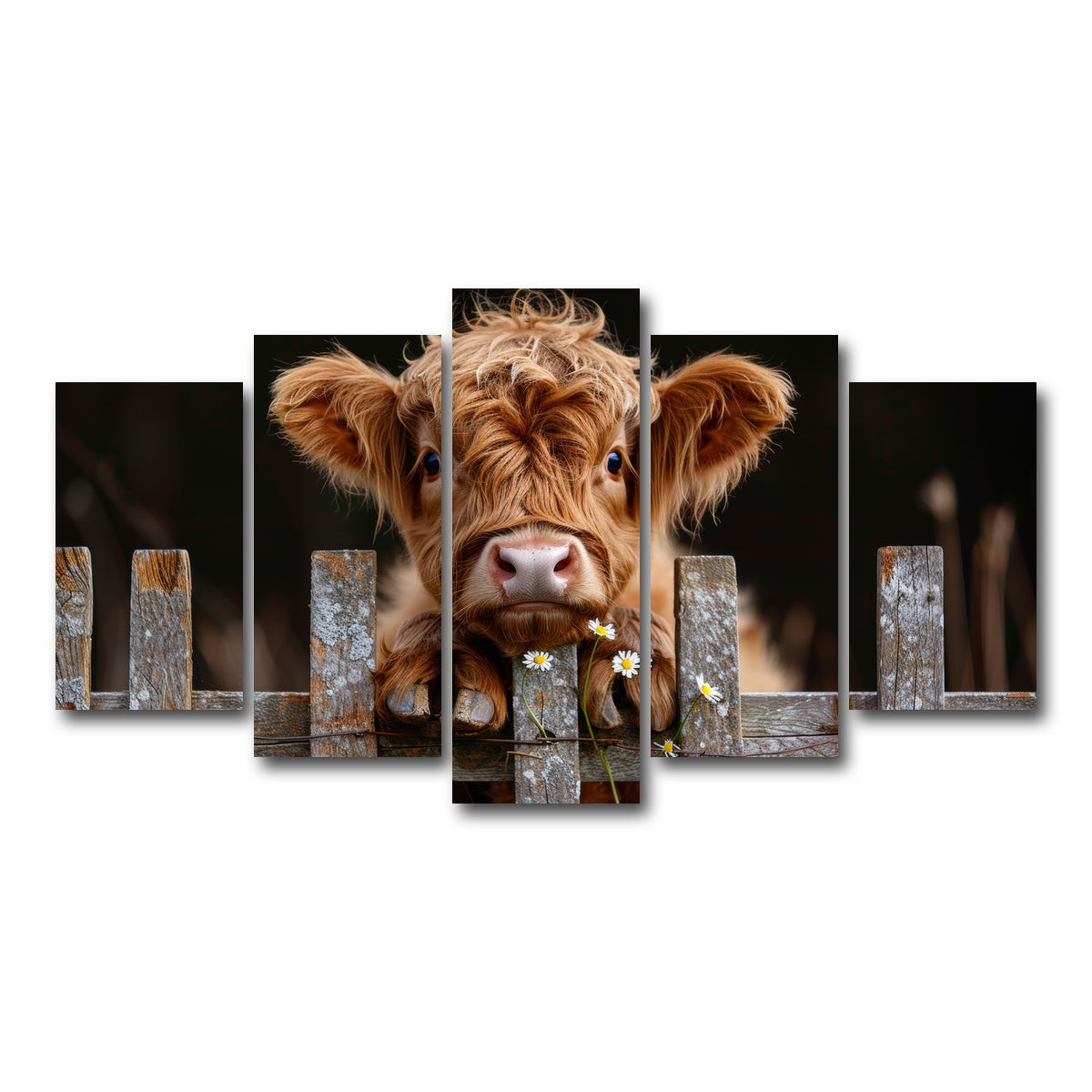 AUTO-MOCKUP WHITE | Highland Baby Calf | 5 Piece | Gallery Wrap Canvas | group=5_normal