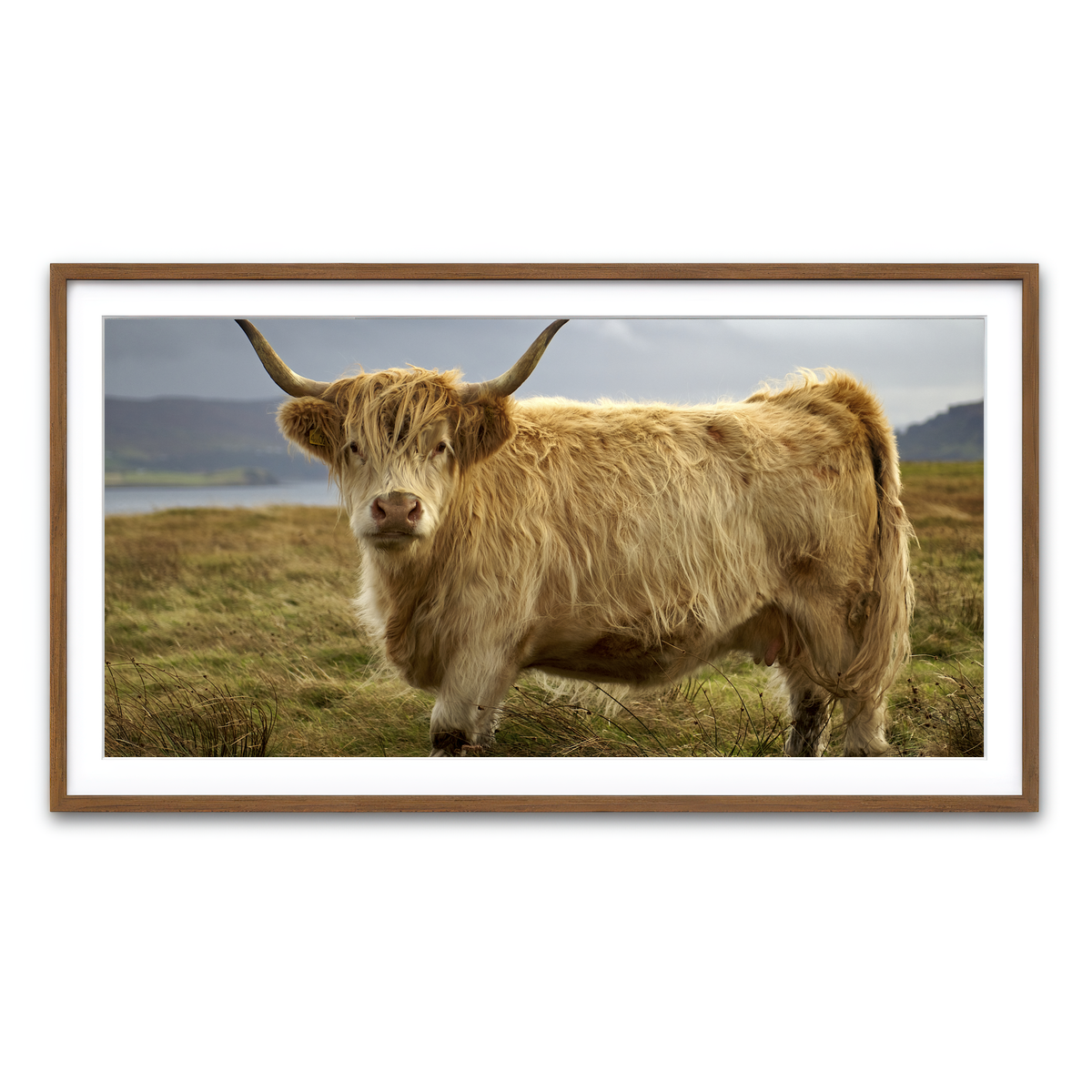 Framed Print 2x1 Walnut