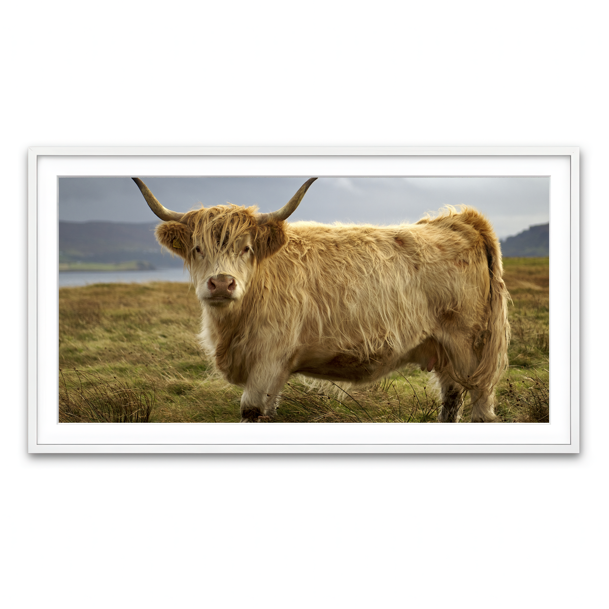 Framed Print 2x1 White