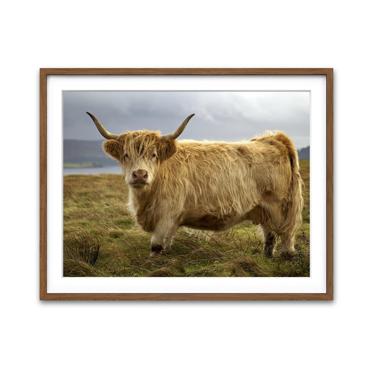 Framed Print 4x3 Walnut