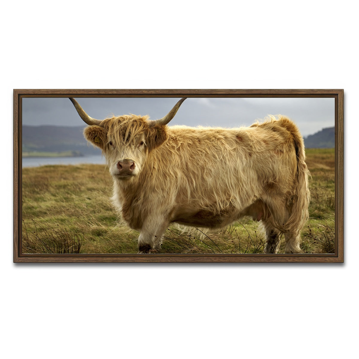 AUTO-MOCKUP WHITE | Highland Cow - Countryside | 1 Piece | Walnut Framed Canvas | group=2x1