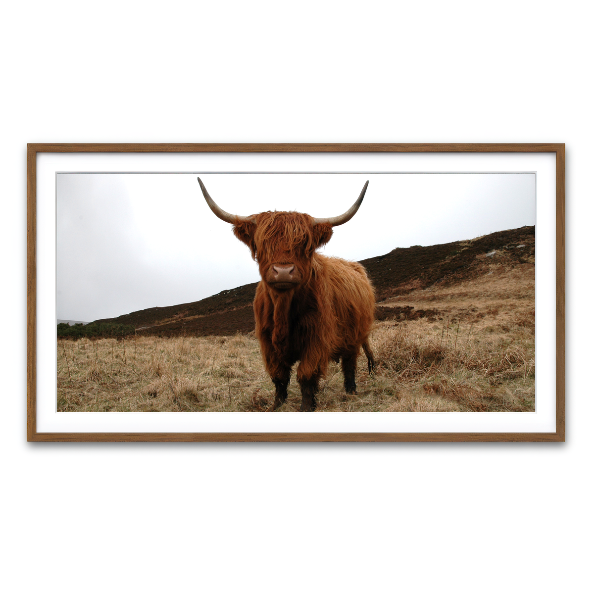 Framed Print 2x1 Walnut