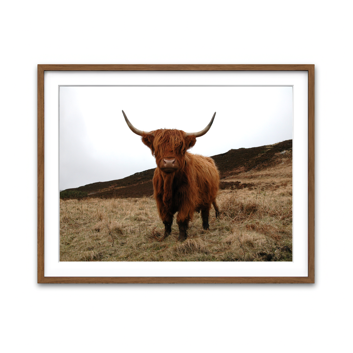 Framed Print 4x3 Walnut