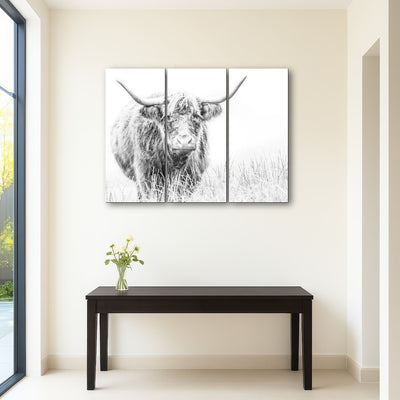 AUTO-MOCKUP ROOM | Highland Cow on white