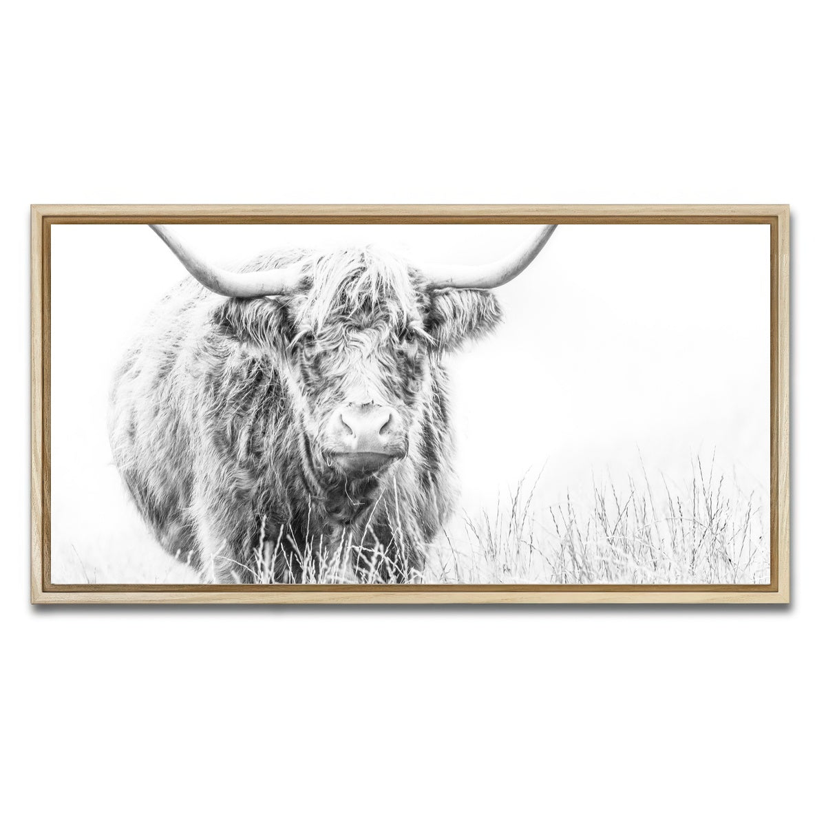AUTO-MOCKUP WHITE | Highland Cow on white | 1 Piece | Natural Framed Canvas | group=2x1