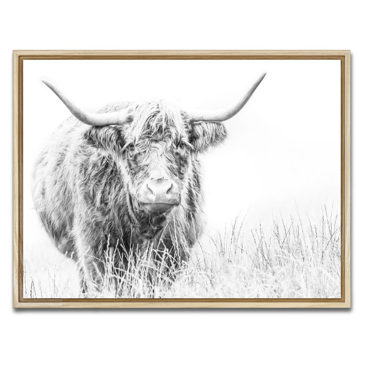 AUTO-MOCKUP WHITE | Highland Cow on white | 1 Piece | Natural Framed Canvas | group=4x3