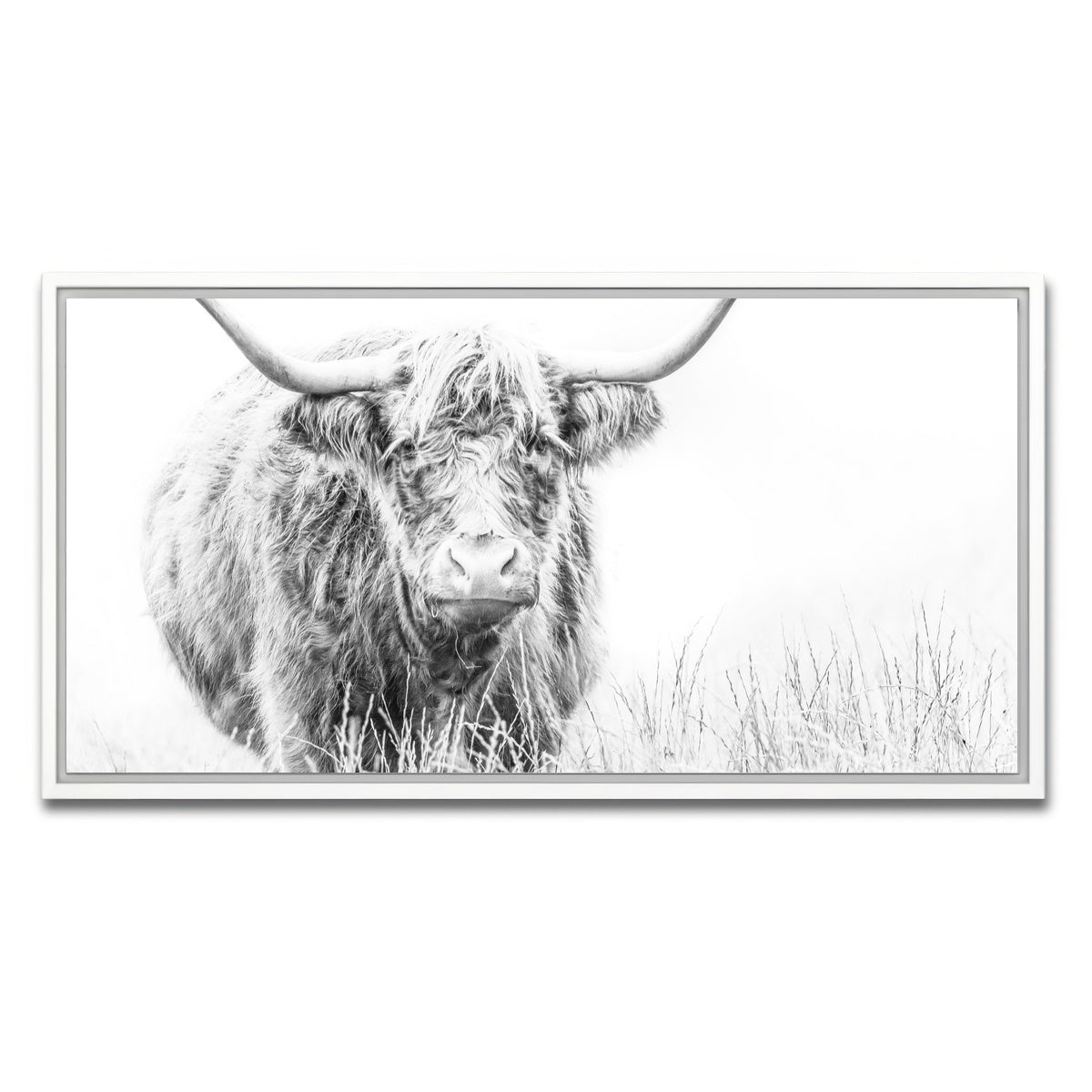 AUTO-MOCKUP WHITE | Highland Cow on white | 1 Piece | White Framed Canvas | group=2x1
