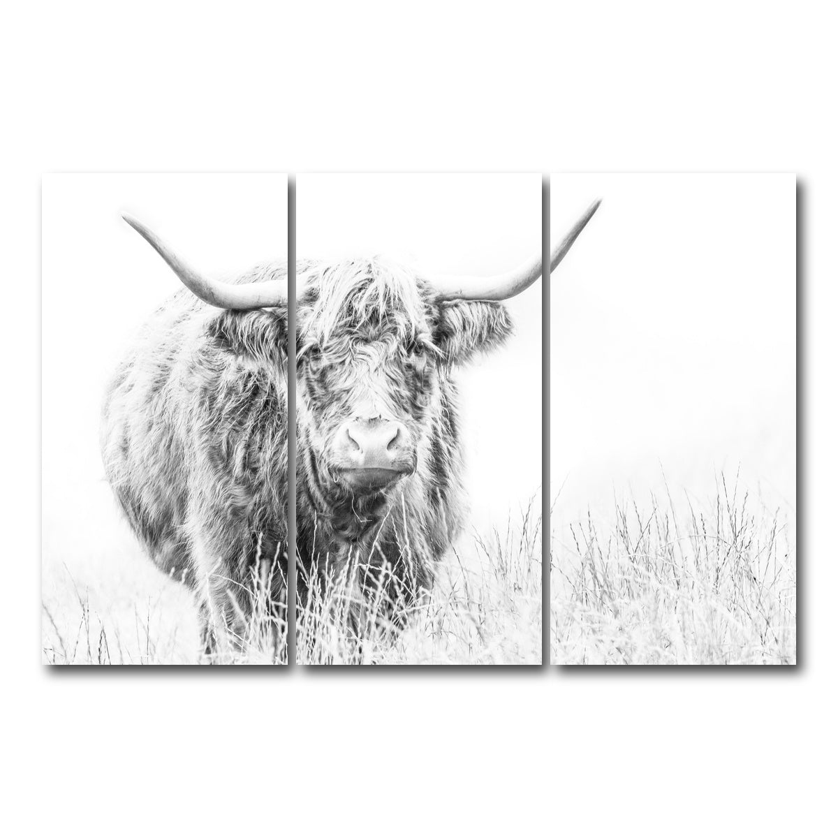 AUTO-MOCKUP WHITE | Highland Cow on white | 3 Piece | Gallery Wrap Canvas | group=12x24