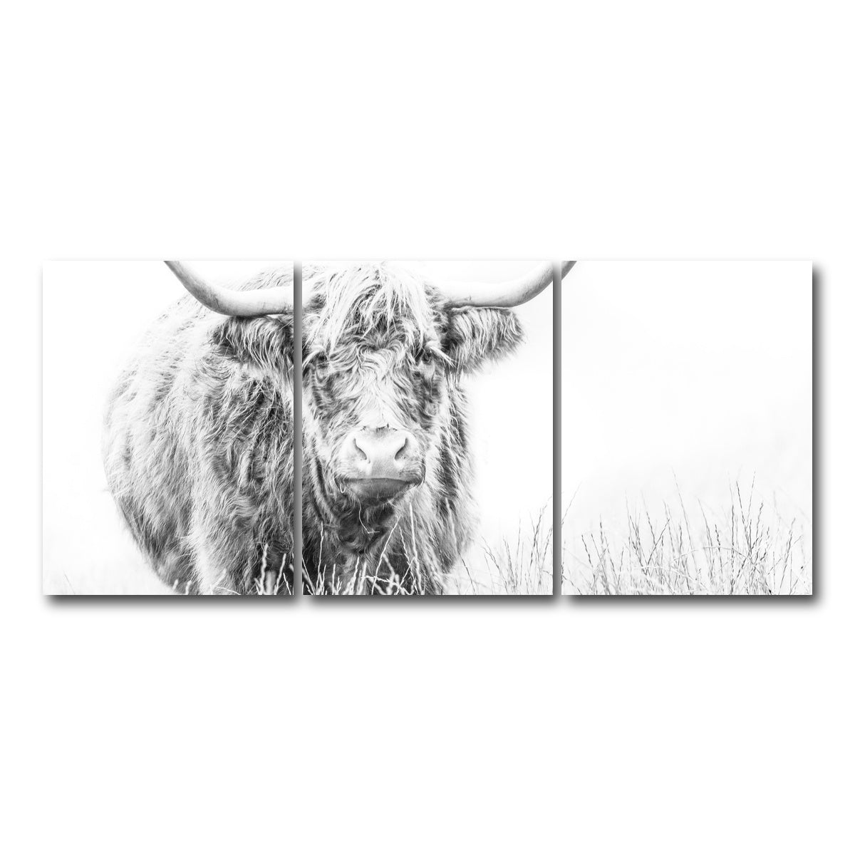 AUTO-MOCKUP WHITE | Highland Cow on white | 3 Piece | Gallery Wrap Canvas | group=18x24