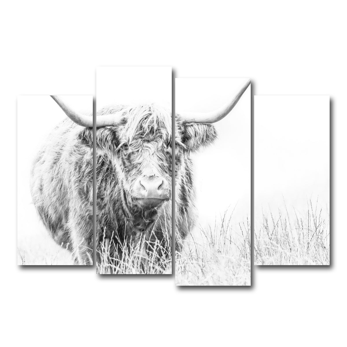 AUTO-MOCKUP WHITE | Highland Cow on white | 4 Piece | Gallery Wrap Canvas | group=4_normal