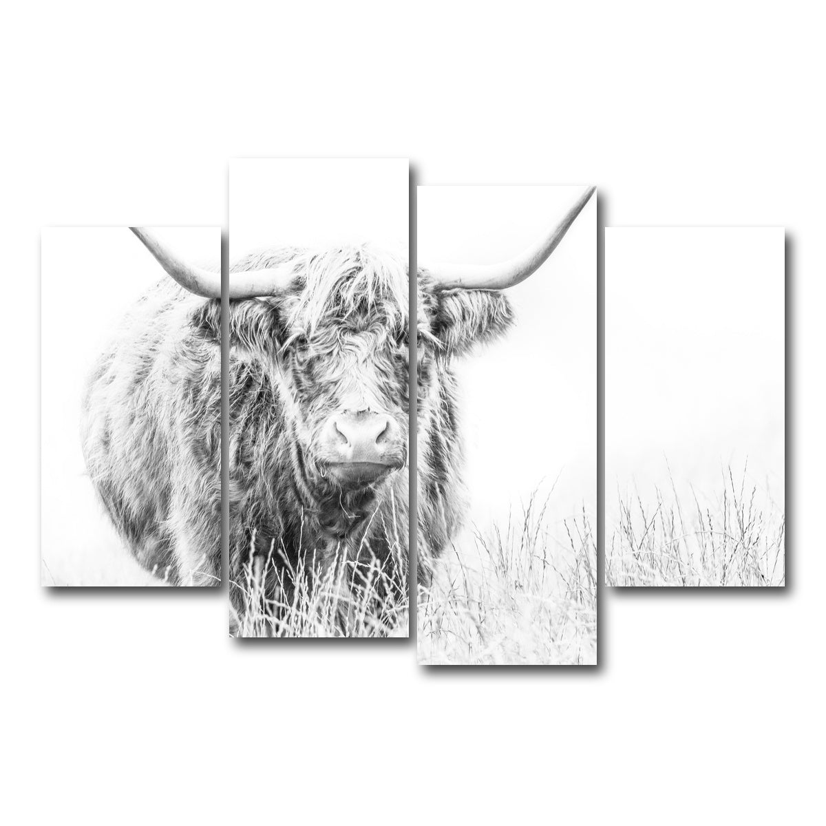 AUTO-MOCKUP WHITE | Highland Cow on white | 4 Piece | Gallery Wrap Canvas | group=4_short