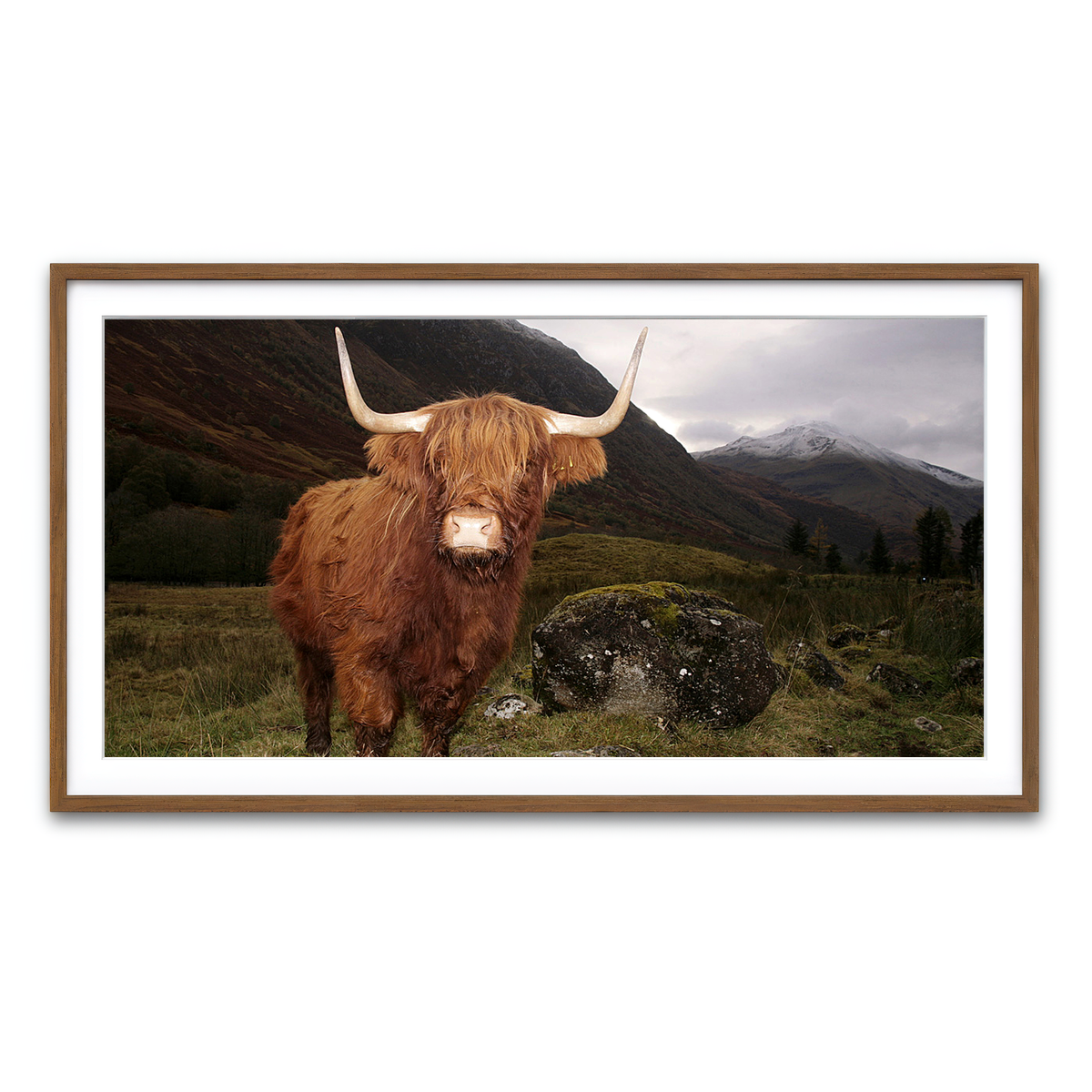 Framed Print 2x1 Walnut