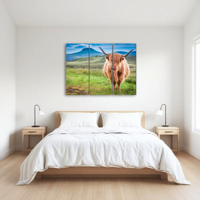 AUTO-MOCKUP ROOM | Highland cow in Isle of Skye