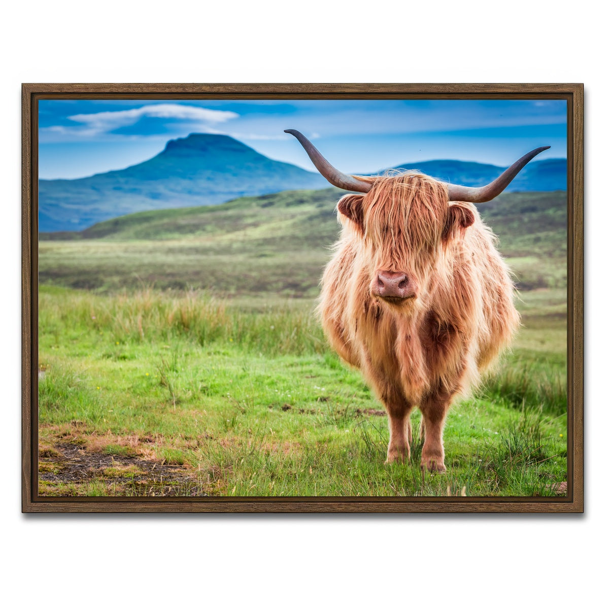 AUTO-MOCKUP WHITE | Highland cow in Isle of Skye | 1 Piece | Walnut Framed Canvas | group=4x3
