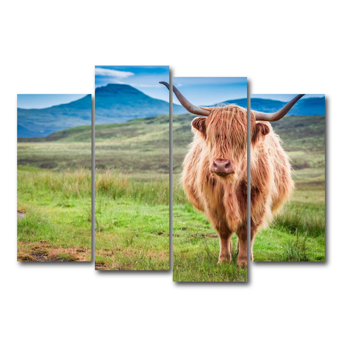 AUTO-MOCKUP WHITE | Highland cow in Isle of Skye | 4 Piece | Gallery Wrap Canvas | group=4_normal