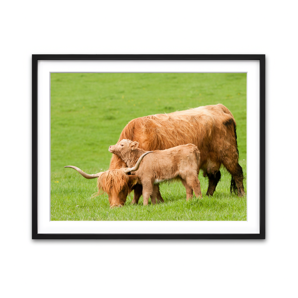 Framed Print 4x3 Black